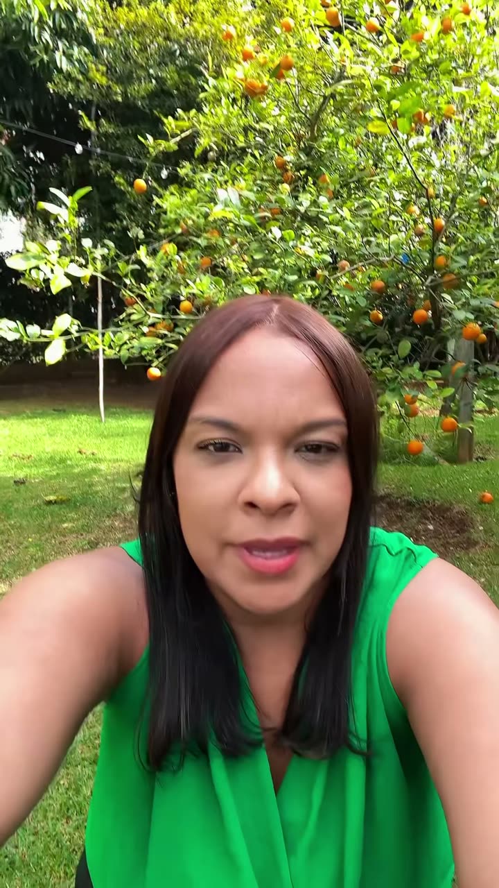 Prévia do Vídeo 03